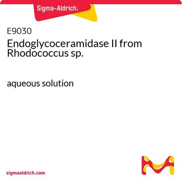 Endoglycoceramidase II from Rhodococcus sp. aqueous solution