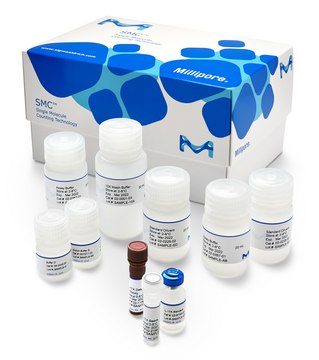 SMC &#174;人IL-17A高灵敏度试剂盒 1&#160;kit sufficient for 96&#160;wells, input: plasma, serum