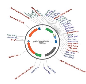 PSF-CMV-RSV-RLUC ASCI - RENILLA LUCIFERASE PLASMID plasmid vector for molecular cloning