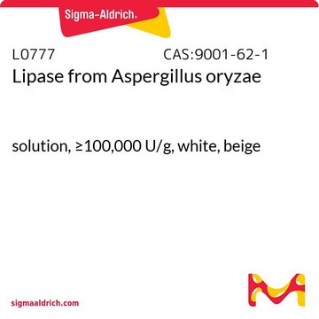 Lipase from Aspergillus oryzae solution, &#8805;100,000&#160;U/g, white, beige