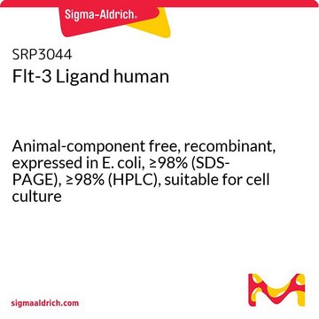 Flt-3 Ligand human Animal-component free, recombinant, expressed in E. coli, &#8805;98% (SDS-PAGE), &#8805;98% (HPLC), suitable for cell culture