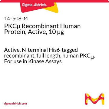 PKC&#181; Recombinant Human Protein, Active, 10 &#181;g Active, N-terminal His6-tagged recombinant, full length, human PKC&#956;. For use in Kinase Assays.