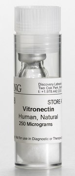 Corning&#174; Vitronectin from human, pack of 0.25&#160;mg