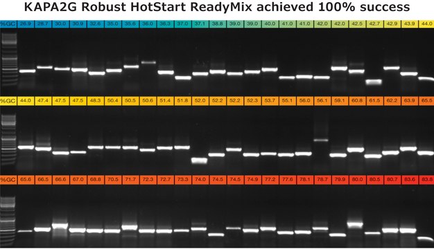 KAPA2G Robust HotStart ReadyMix 2&#160;×, with dye