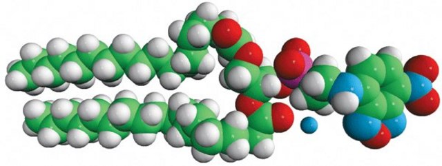 18:0 NBD PE (NBD-DSPE) Avanti Polar Lipids