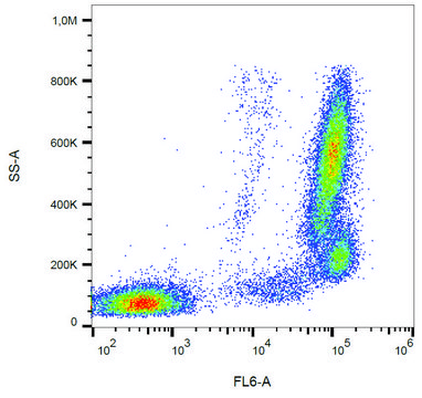 Monoclonal Anti-CD157-APC antibody produced in mouse clone SY11B5