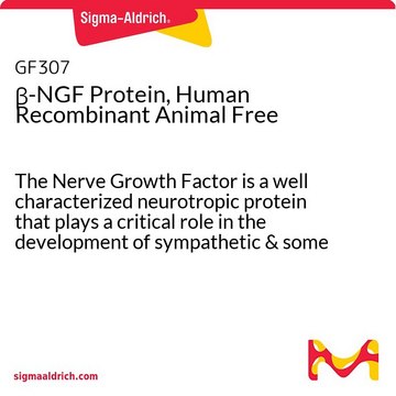 &#946;不含人重组动物的-NGF蛋白 The Nerve Growth Factor is a well characterized neurotropic protein that plays a critical role in the development of sympathetic &amp; some sensory neurons in the peripheral nervous system. Manufactured using all non-animal reagents.