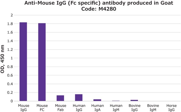 抗 小鼠 IgG（Fc 特异性） 山羊抗 2.0&#160;mg/mL, affinity isolated antibody