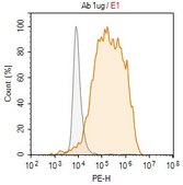Anti-mCherry Antibody, clone 1E10 ZooMAb® Rabbit Monoclonal recombinant, expressed in HEK 293 cells