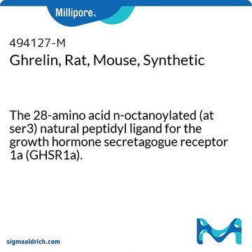 Ghrelin, Rat, Mouse, Synthetic The 28-amino acid n-octanoylated (at ser3) natural peptidyl ligand for the growth hormone secretagogue receptor 1a (GHSR1a).