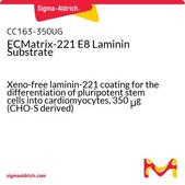 ECMatrix-221 E8 Laminin Substrate Xeno-free laminin-221 coating for the differentiation of pluripotent stem cells into cardiomyocytes, 350 μg (CHO-S derived)