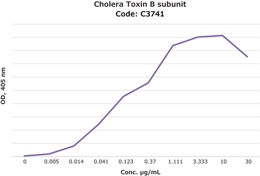 Cholera Toxin B subunit peroxidase conjugate (Contains ~ 2 moles HRP/mole of CTB. ~100 &#956;g HRP conjugated to ~45 &#956;g CTB), lyophilized powder