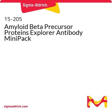 Amyloid Beta Precursor Proteins Explorer Antibody MiniPack