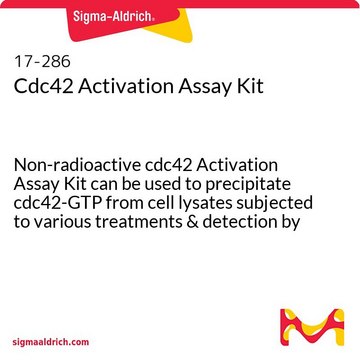 Cdc42 Activation Assay Kit Non-radioactive cdc42 Activation Assay Kit can be used to precipitate cdc42-GTP from cell lysates subjected to various treatments &amp; detection by a cdc42 specific monoclonal antibody.