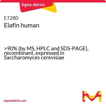 Elafin human &gt;90% (by MS, HPLC and SDS-PAGE), recombinant, expressed in Saccharomyces cerevisiae