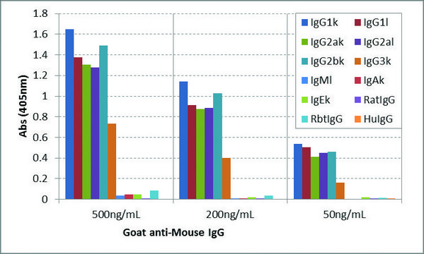 Anti-Mouse IgG antibody, Goat monoclonal recombinant, expressed in HEK 293 cells, clone RMG07, purified immunoglobulin