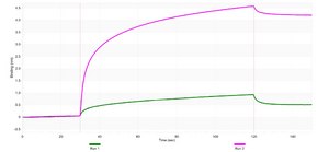 Anti-TRIM14 Antibody, clone 1J17 ZooMAb® Rabbit Monoclonal recombinant, expressed in HEK 293 cells