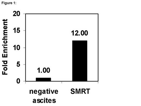 ChIPAb+ SMRT - ChIP Validated Antibody and Primer Set ascites fluid, from mouse