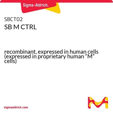 SB M CTRL recombinant, expressed in human cells (expressed in proprietary human “M” cells)