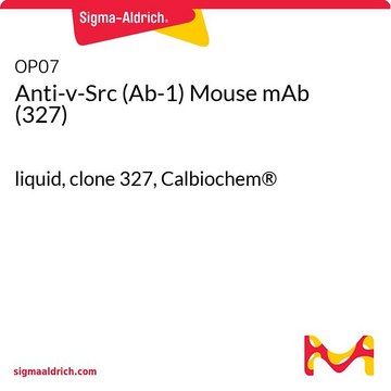 Anti-v-Src (Ab-1) Mouse mAb (327) liquid, clone 327, Calbiochem&#174;