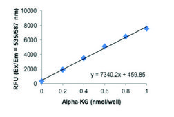 α-Ketoglutarate Assay Kit sufficient for 100 colorimetric&nbsp;or&nbsp;fluorometric&nbsp;tests
