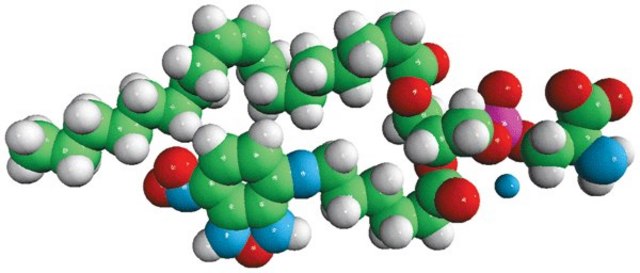 18:1-06:0 NBD PS Avanti Polar Lipids 810194C