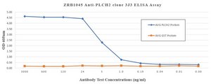Anti-PLCH2 Antibody, clone 3J3 ZooMAb® Rabbit Monoclonal recombinant, expressed in HEK 293 cells