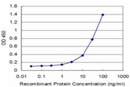 Monoclonal Anti-NUDT2 antibody produced in mouse clone S1, purified immunoglobulin, buffered aqueous solution