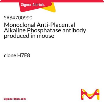 Monoclonal Anti-Placental Alkaline Phosphatase antibody produced in mouse clone H7E8