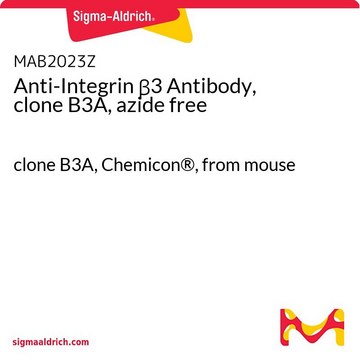 Anti-Integrin &#946;3 Antibody, clone B3A, azide free clone B3A, Chemicon&#174;, from mouse