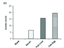 Acetate Colorimetric Assay Kit sufficient for 100 colorimetric&nbsp;tests