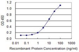 Monoclonal Anti-PDAP1 antibody produced in mouse clone 3B10, purified immunoglobulin, buffered aqueous solution