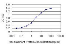 Monoclonal Anti-HOXA11 antibody produced in mouse clone 7E12, purified immunoglobulin, buffered aqueous solution