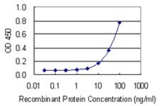 Monoclonal Anti-PRKCSH antibody produced in mouse clone 3H7, purified immunoglobulin, buffered aqueous solution