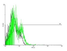Anti-SPN antibody produced in mouse purified immunoglobulin, buffered aqueous solution