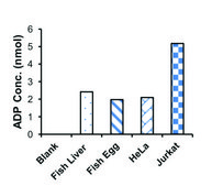 ADP 比色法检测试剂盒 II sufficient for 100 colorimetric&nbsp;tests