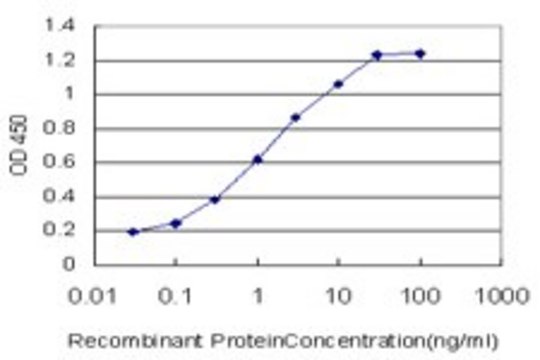 Monoclonal Anti-RABIF antibody produced in mouse clone 2G3, purified immunoglobulin, buffered aqueous solution