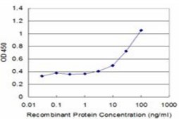 Monoclonal Anti-UBE2B antibody produced in mouse clone 4C3, purified immunoglobulin, buffered aqueous solution