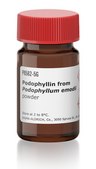 Podophyllin from Podophyllum emodii powder
