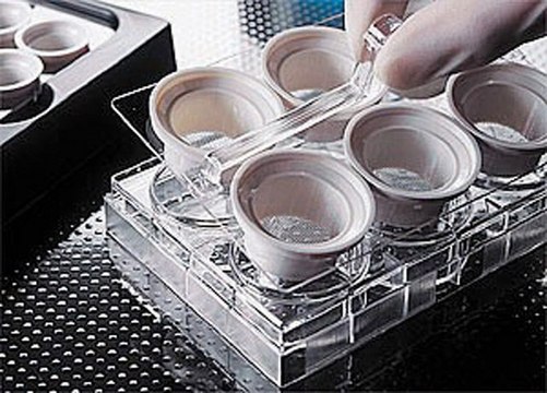 Corning&#174; Netwells&#174; accessories black reagent tray