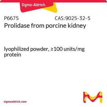 脯氨酸二肽酶 来源于猪肾脏 lyophilized powder, &#8805;100&#160;units/mg protein