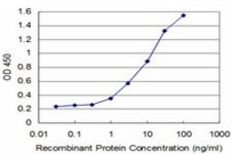 Monoclonal Anti-TP53RK antibody produced in mouse clone 3H4, purified immunoglobulin, buffered aqueous solution