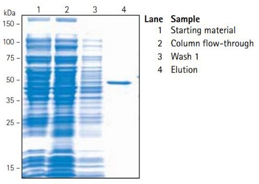 BugBuster&#174; Ni-NTA His&#8226;Bind&#174; Purification Kit