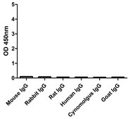 Alpaca Anti-Mouse IgM(µ chain) single domain Antibody recombinant Alpaca(VHH) Nano antibody
