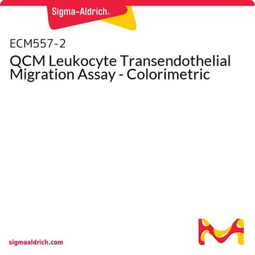 QCM Leukocyte Transendothelial Migration Assay - Colorimetric