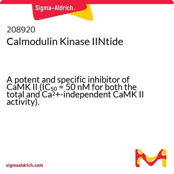 Calmodulin Kinase IINtide A potent and specific inhibitor of CaMK II (IC&#8325;&#8320; = 50 nM for both the total and Ca2+-independent CaMK II activity).