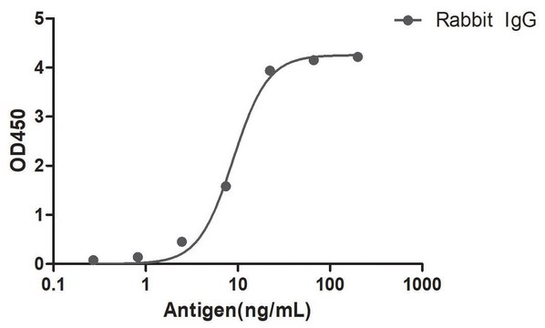 Alpaca Anti-Rabbit IgG(Fc&#947;) HRP single domain Antibody recombinant Alpaca(VHH) Nano antibody