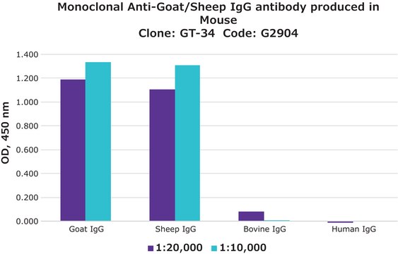 Monoclonal Anti-Goat/Sheep IgG antibody produced in mouse clone GT-34, ascites fluid