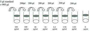 Mouse Macrophage Inflammatory Protein 1-γ / CCL9-CCL10 ELISA Kit for serum, plasma and cell culture supernatant