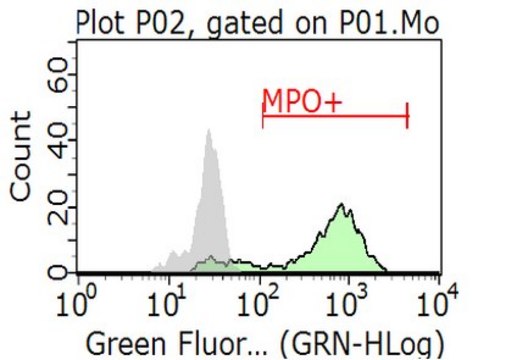 Anti-Myeloperoxidase Antibody, clone CLB-MPO-1/1,7.17, FITC conjugate clone CLB-MPO-1/1,7.17, from mouse, FITC conjugate